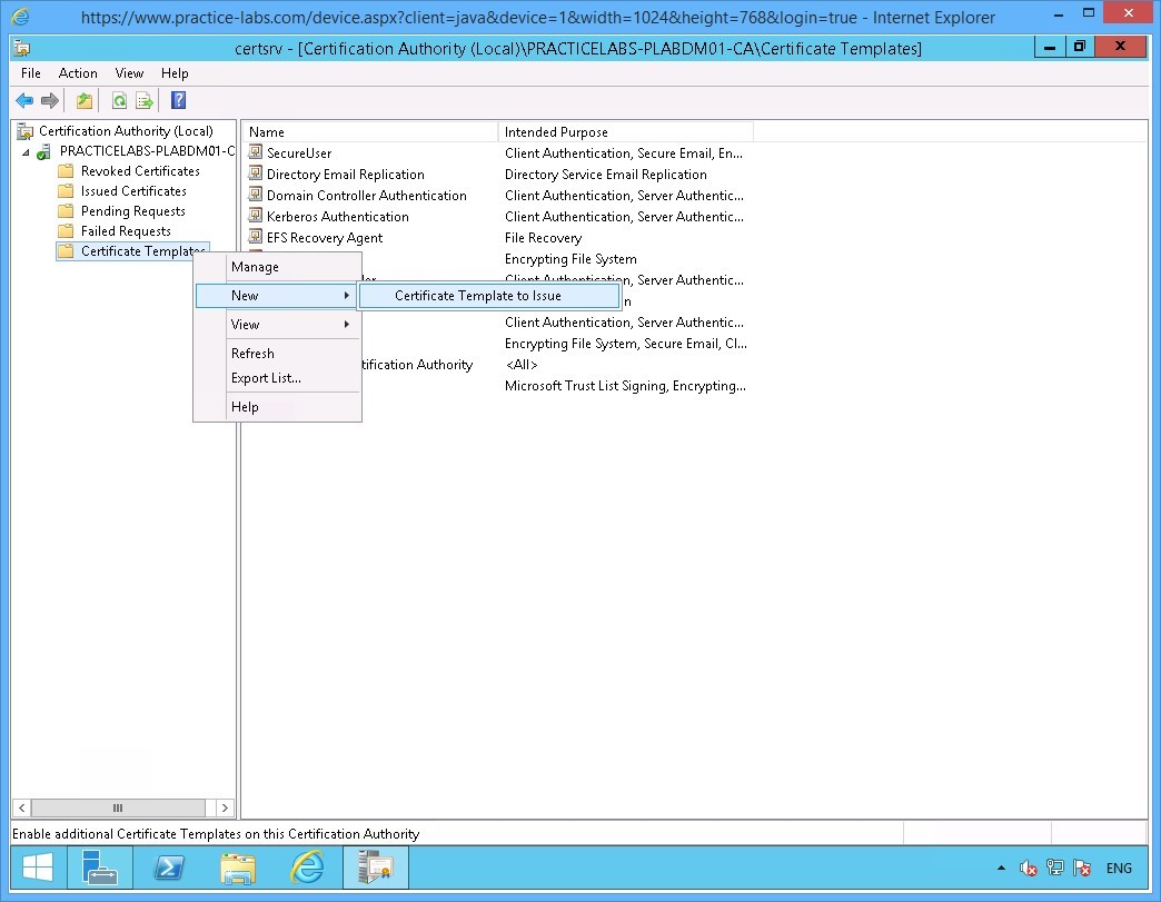 Practice Labs screenshot.